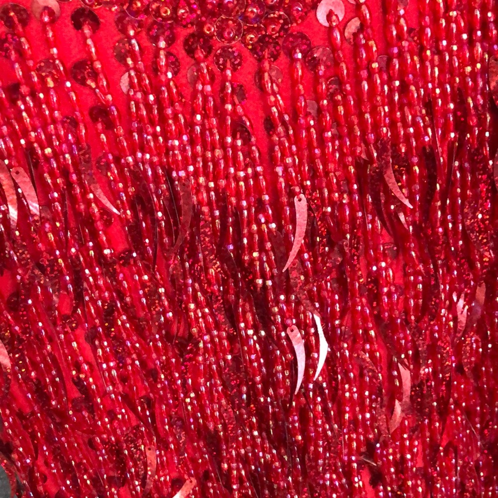 Costume - Picture 3 of 8